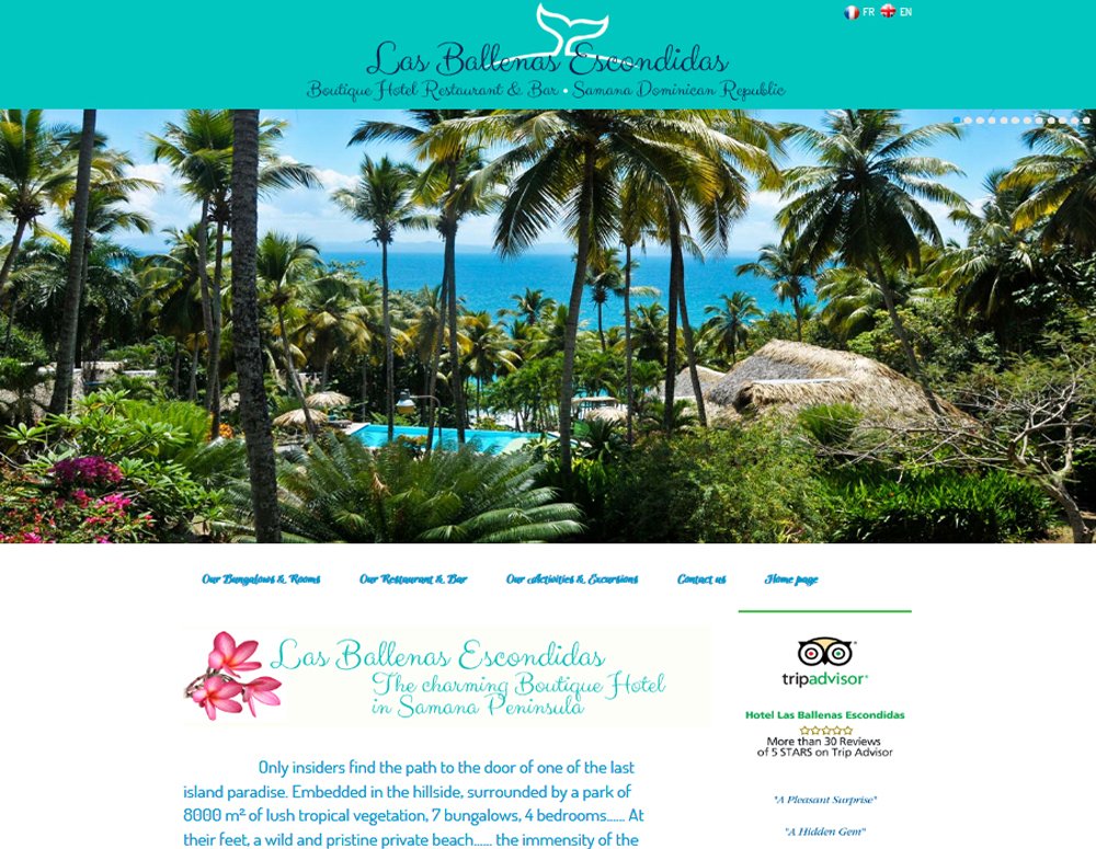 Best Web Design in Las Terrenas Dominican Republic.