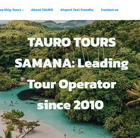 Web Designer in Dominican Republic - Top Web Agency